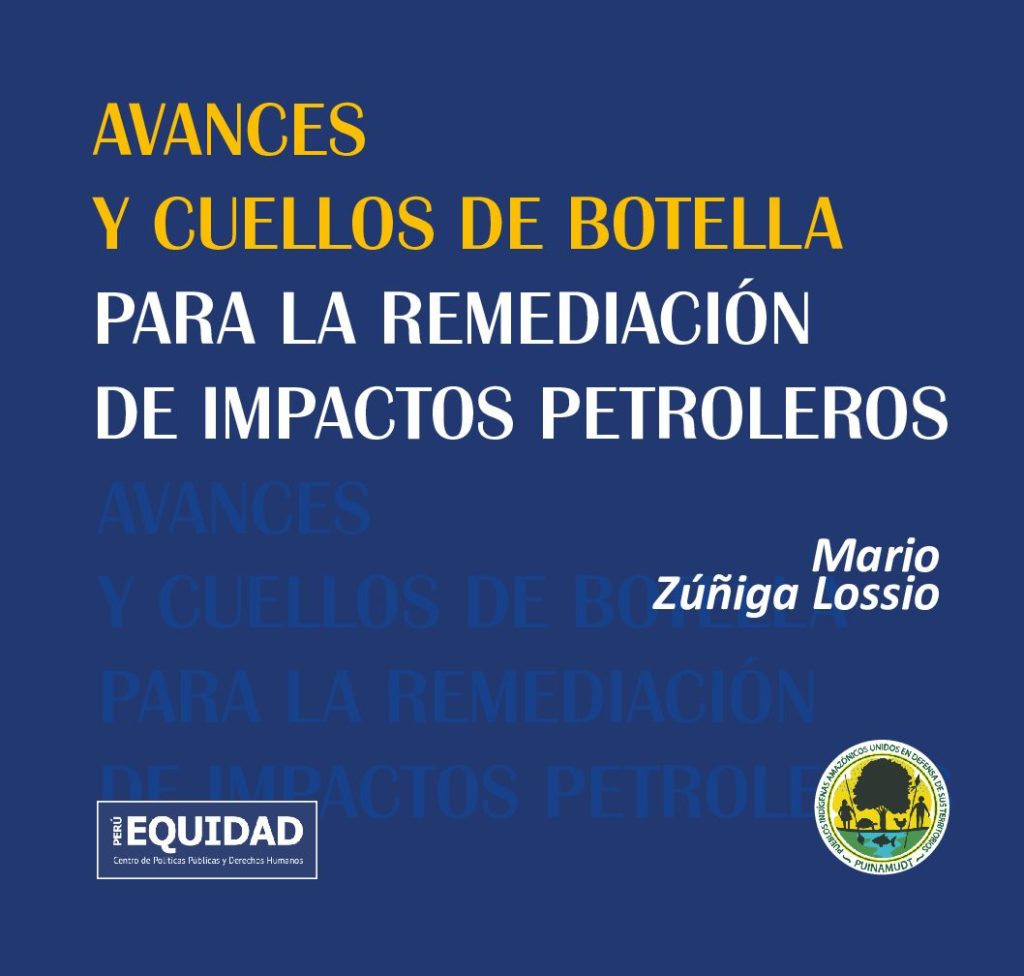 Avances y cuellos de botella para la remediación de impactos petroleros (2021)