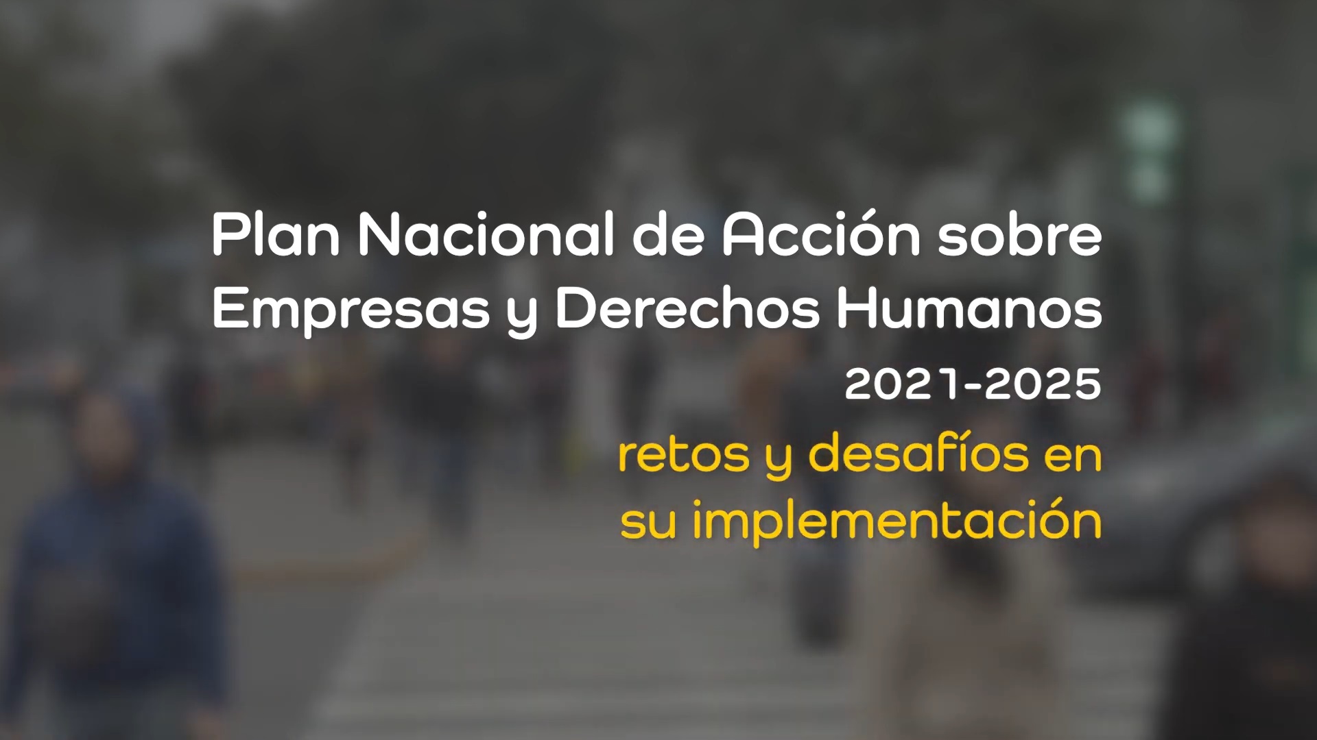 Plan Nacional de Acción sobre Empresas y Derechos Humanos (PNAEDH) 2021-2025: Retos y desafíos