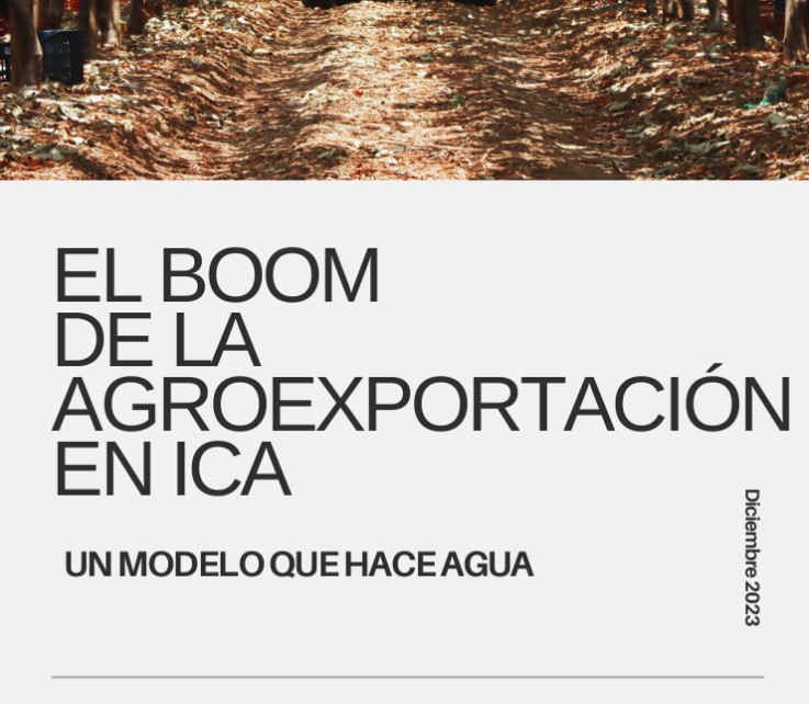 Boom de la agroexportación en Ica: un modelo que hace agua (2023)