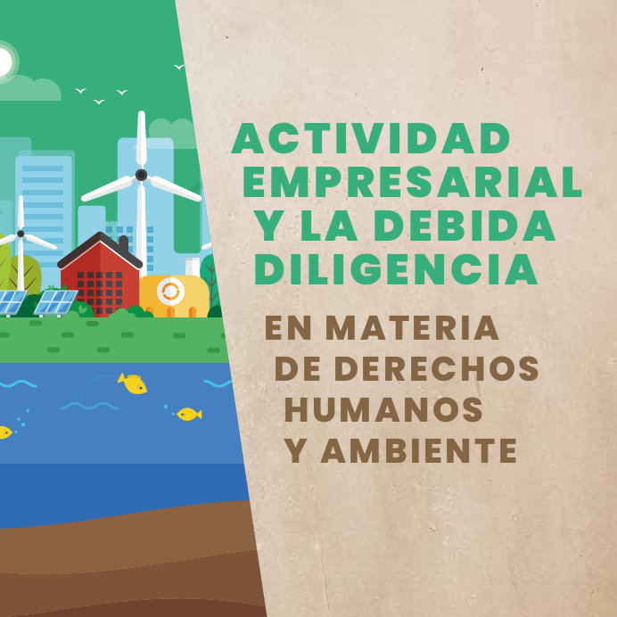 Proyecto de Ley que Regula la Actividad Empresarial y la Debida Diligencia en materia de derechos humanos y ambiente (2022)