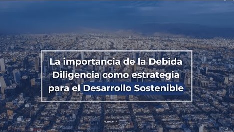 La importancia de la Debida Diligencia como estrategia para el Desarrollo Sostenible