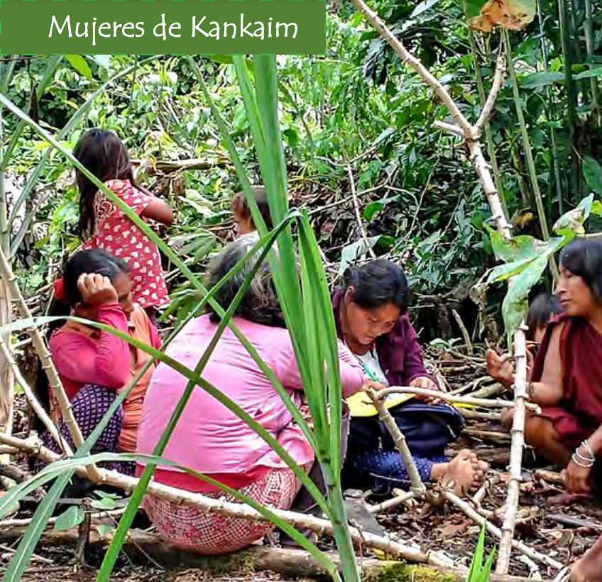 Recuperación e intercambio de conocimientos tradicionales de las mujeres Wampís en agrobiodiversidad (2021)